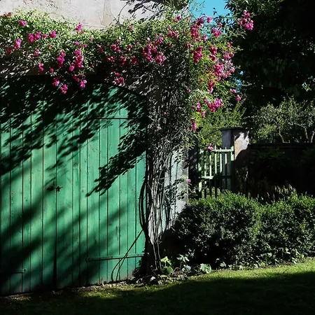 Casa Buffa Villa *